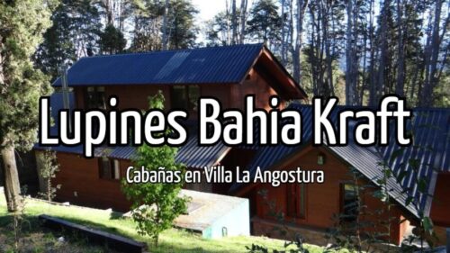 Lupines Bahia Kraft